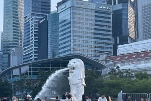 Full day Singapore City Tour with Flyer,GBB and Skypark