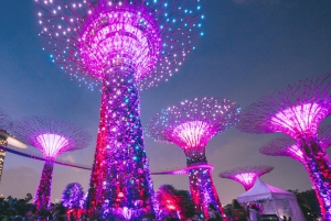 Heldagstur i Singapore med Flyer, GBB og Skypark