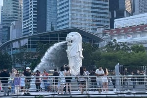 Heldagstur i Singapore med Flyer, GBB og Skypark
