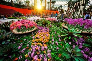 Gardens by the Bay Jurassic World @Cloud Forest 1-Wege-Transfer