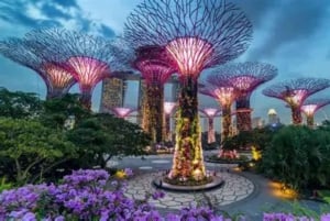 Gardens by the Bay Jurassic World @Cloud Forest 1-Wege-Transfer