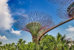Gardens by the Bay Jurassic World @Cloud Forest 1-Wege-Transfer