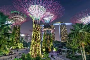 Gardens by the Bay Jurassic World @Cloud Forest 1-Wege-Transfer