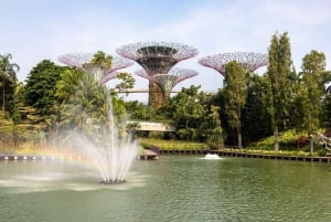 Gardens by the Bay Jurassic World @Cloud Forest 1-Wege-Transfer