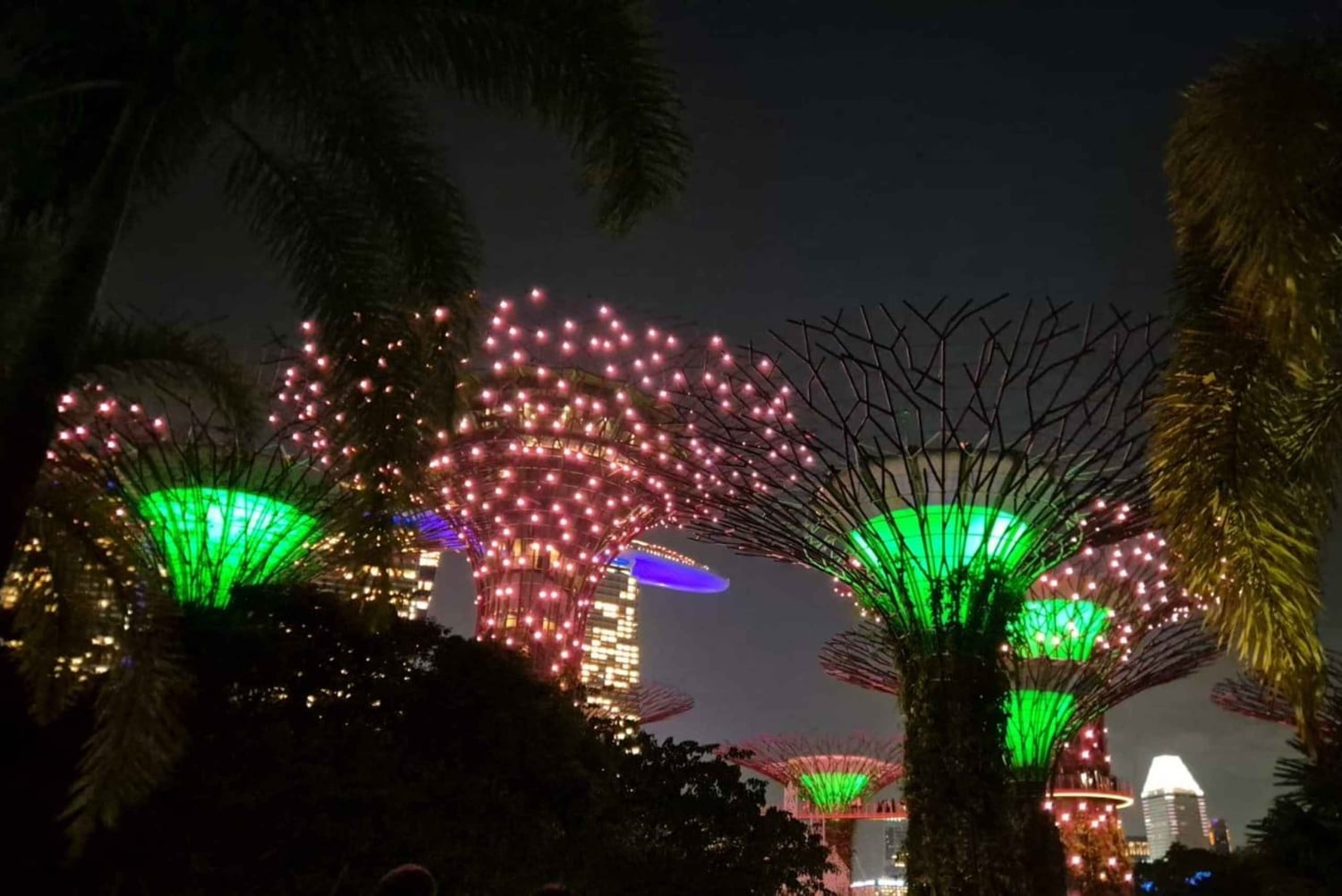 Glow with the Flow: l'esperienza del fiume illuminato di Singapore