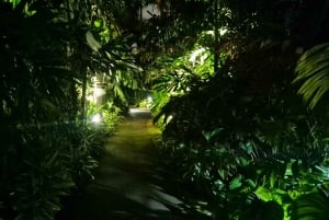 Glow with the Flow: l'esperienza del fiume illuminato di Singapore