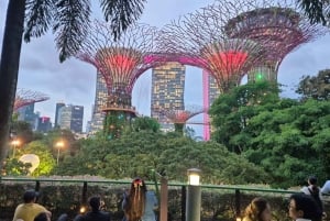 Glow with the Flow: l'esperienza del fiume illuminato di Singapore