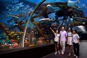 Go Singapore All-Inclusive City Pass with 35+ Attractions