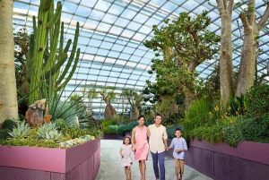 Singapore: Go City All-Inclusive Pass with 35 Attractions