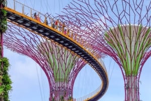Iconic Singapore Morning Tour: Gardens, Marina Bay & Sentosa