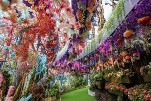 Iconic Singapore Morning Tour: Gardens, Marina Bay & Sentosa