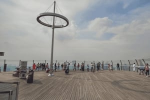 Iconic Singapore Morning Tour: Gardens, Marina Bay & Sentosa