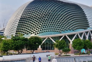 Iconic Singapore Morning Tour: Gardens, Marina Bay & Sentosa
