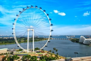 Iconic Singapore Morning Tour: Gardens, Marina Bay & Sentosa