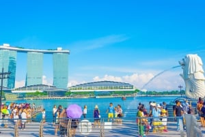 Iconic Singapore Morning Tour: Gardens, Marina Bay & Sentosa