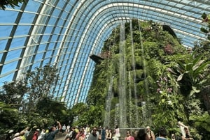 Iconic Singapore Morning Tour: Gardens, Marina Bay & Sentosa