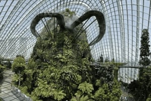 Iconic Singapore Morning Tour: Gardens, Marina Bay & Sentosa