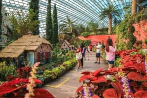 Iconic Singapore Morning Tour: Gardens, Marina Bay & Sentosa