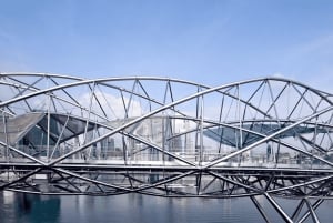 Iconic Singapore Morning Tour: Gardens, Marina Bay & Sentosa