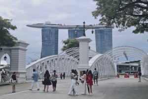 Iconic Singapore Morning Tour: Gardens, Marina Bay & Sentosa
