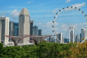 Iconic Singapore Morning Tour: Gardens, Marina Bay & Sentosa