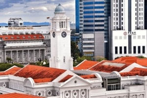 Iconic Singapore Morning Tour: Gardens, Marina Bay & Sentosa