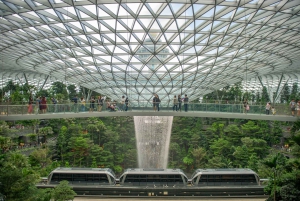 Jewel Changi Airport: Canopy Bridge Admission Ticket