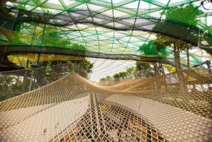Jewel Changi Airport: Canopy Park Admission Ticket