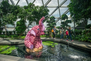 Jewel Changi Airport: Hedge Maze and Canopy Park Ticket