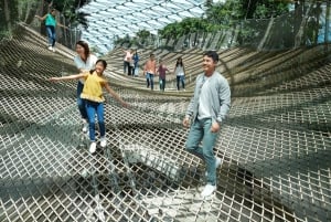 Jewel Changi Airport: Manulife Sky Nets Admission Ticket
