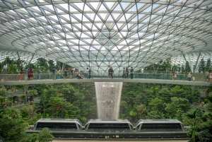 Jewel Changi Airport: Mastercard® Canopy Bridge Admission
