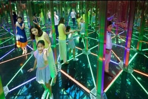 Jewel Changi Airport: Mirror Maze och Canopy Park Ticket