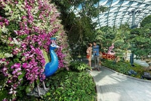 Jewel Changi Airport: Mirror Maze och Canopy Park Ticket