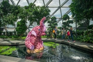 Jewel Changi Airport: Mirror Maze och Canopy Park Ticket