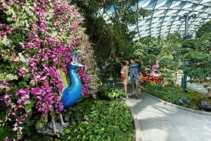 Jewel Changi Airport: Mirror Maze and Canopy Park Ticket