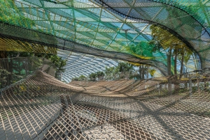 Аэропорт Джуэл Чанги: входной билет Sky Nets