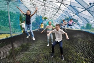 Аэропорт Джуэл Чанги: входной билет Sky Nets