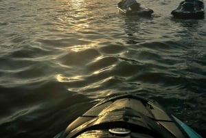 Johor Bahru: Seadoo JetSki 4-timers selvkjørertur (dobbel)