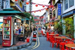 Nightout Chinatown & Little India with Dinner