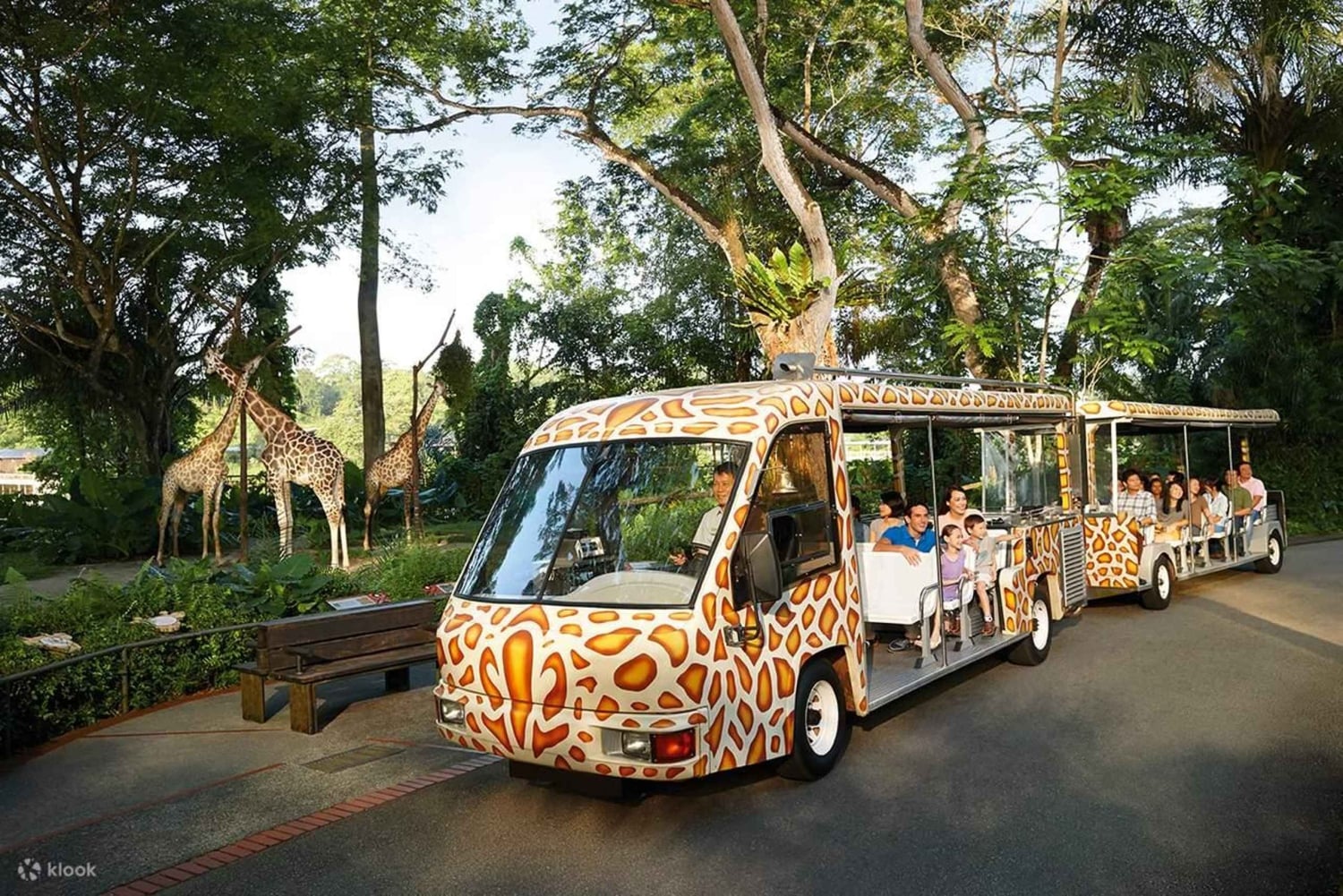 One-Way Transfer to Singapore Zoo or Night Safari