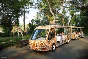 One-Way Transfer to Singapore Zoo or Night Safari