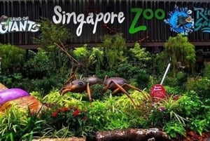 One-Way Transfer to Singapore Zoo or Night Safari