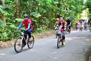 Padle til pedal-eventyr