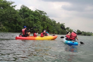 Przygoda od wiosłowania do pedałowania