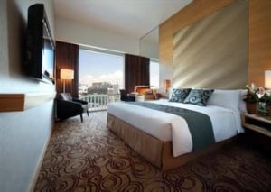 Park Hotel Clarke Quay