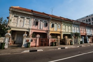 Iconic Singapore Morning Tour: Gardens, Marina Bay & Sentosa