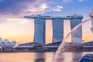 Private Attraction Transfers for Singapore