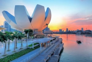 Private Attraction Transfers for Singapore