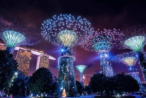 Prywatne transfery do atrakcji w Singapurze