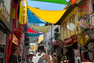 Visite à pied privée et personnalisée de Singapour